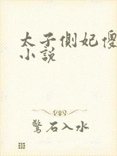 太子侧妃傻乎乎小说封面