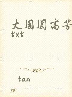大团圆高芳小说txt