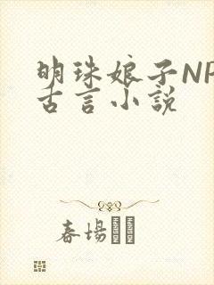 明珠娘子NPC古言小说封面