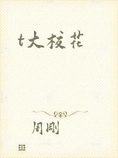 t大校花封面