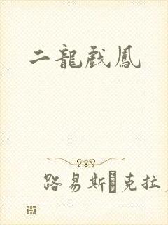二龙戏凤封面