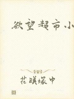 欲望超市小说