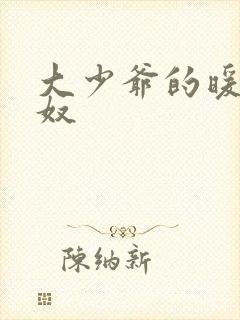 大少爷的暖床小奴