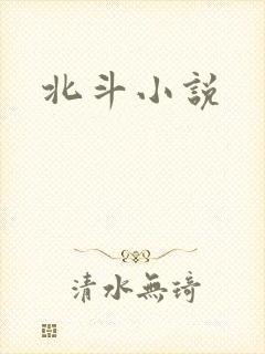 北斗小说