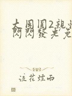 大团圆2亲情会闪闪发光免费