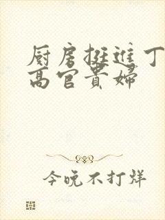 厨房挺进丁字裤高官贵妇