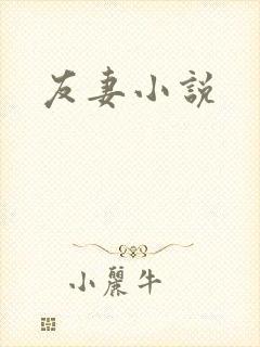 友妻小说封面