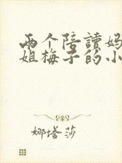 两个陪读妈妈赵姐梅子的小说封面