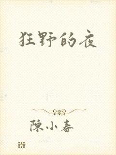 狂野的夜