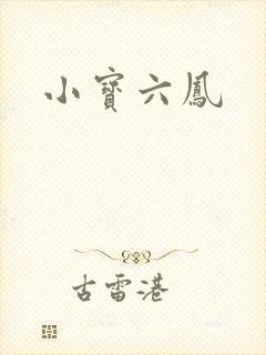 小宝六凤封面
