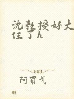 沈教授好大含不住了h