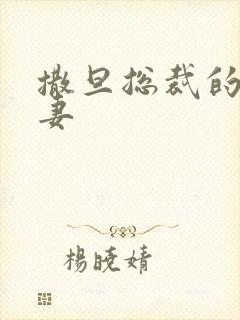 撒旦总裁的下堂妻