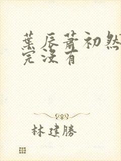 叶辰萧初然更新完没有