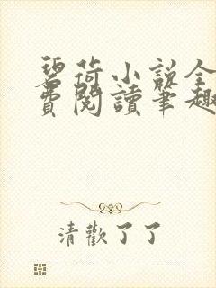 碧荷小说全文免费阅读笔趣阁封面