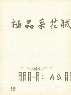 极品采花贼