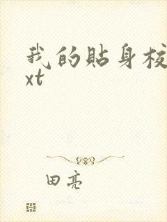 我的贴身校花txt封面