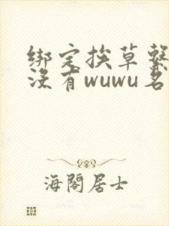 绑定挨草系统后没有wuwu名字