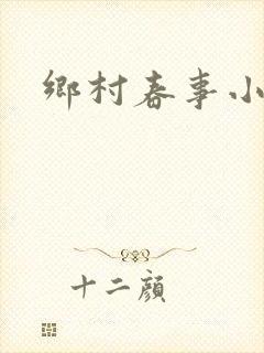 乡村春事小说封面