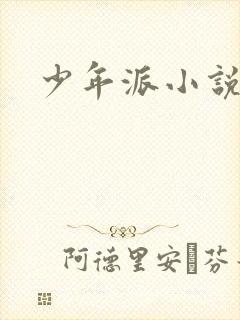 少年派小说