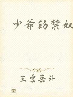 少爷的禁奴封面