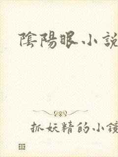 阴阳眼小说封面