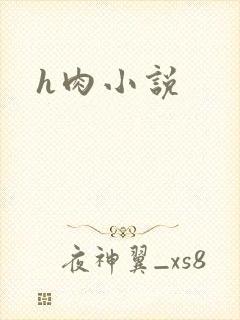 h肉小说