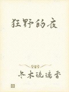 狂野的夜