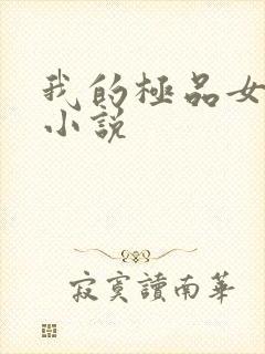 我的极品女老师小说