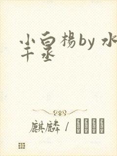 小白杨by 水千丞封面