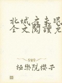 北城夜未眠小说全文阅读免费封面