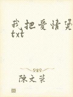 我把爱情煲成汤txt
