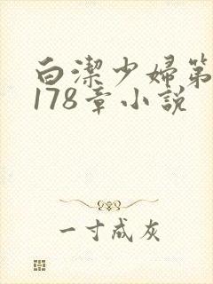 白洁少妇第1一178章小说封面