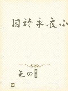 囚于永夜小说封面