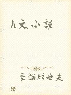 h文小说