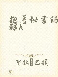 抱着秘书的大乳啃h封面