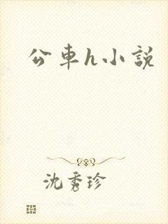 公车h小说