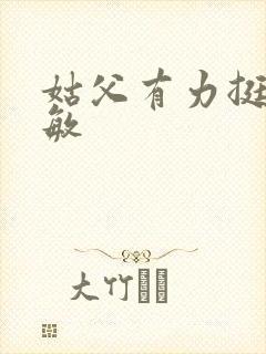 姑父有力挺送赵敏