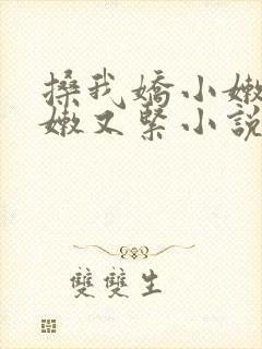 搡我娇小嫩苞又嫩又紧小说封面