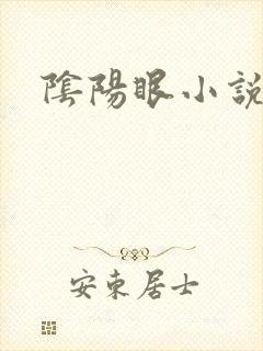 阴阳眼小说
