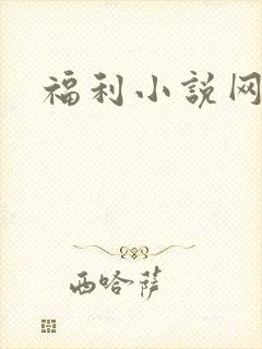 福利小说网