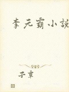 李元霸小说封面