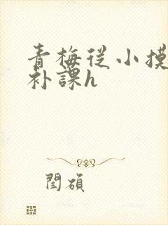 青梅从小摸到大补课h封面