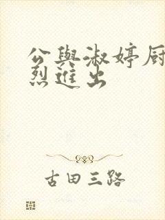 公与淑婷厨房猛烈进出