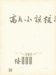 高h小说校园