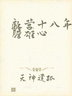 敌营十八年2虎胆雄心封面