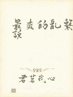 最爽的乱系列小说