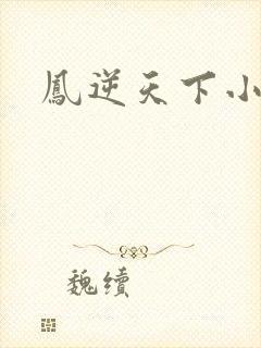 凤逆天下小说