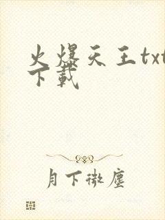 火爆天王txt下载