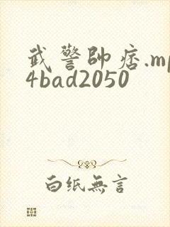 武警帅痞.mp4bad2050