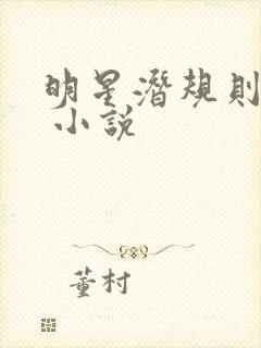 明星潜规则之皇 小说